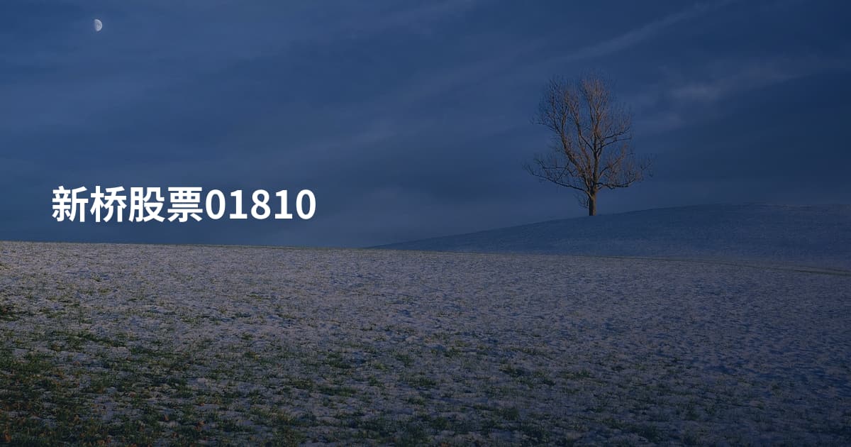 新桥股票01810