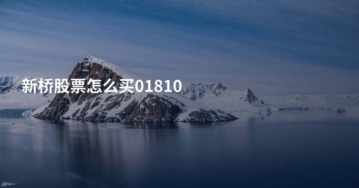 新桥股票怎么买01810