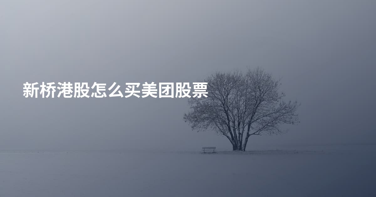 新桥港股怎么买美团股票