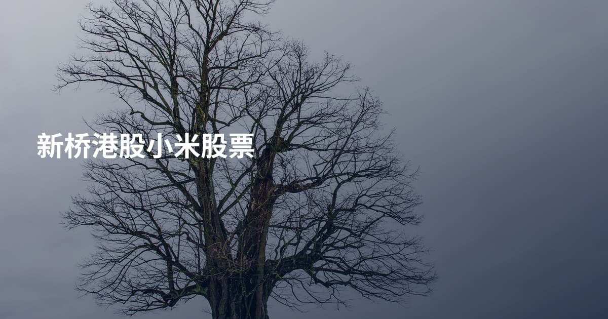 新桥港股小米股票