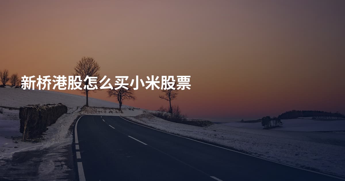 新桥港股怎么买小米股票