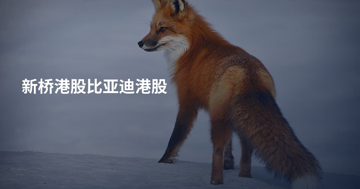 新桥港股比亚迪港股