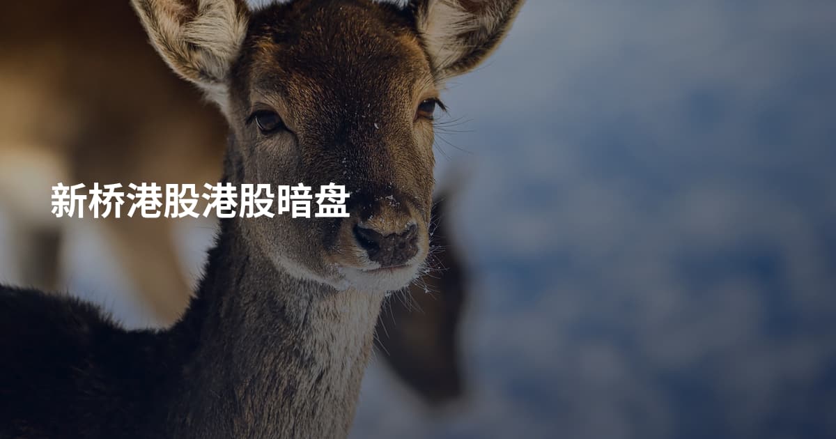 新桥港股港股暗盘