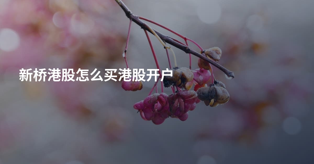 新桥港股怎么买港股开户