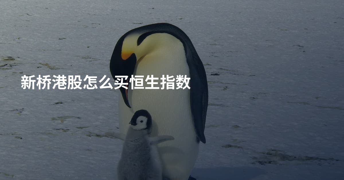 新桥港股怎么买恒生指数
