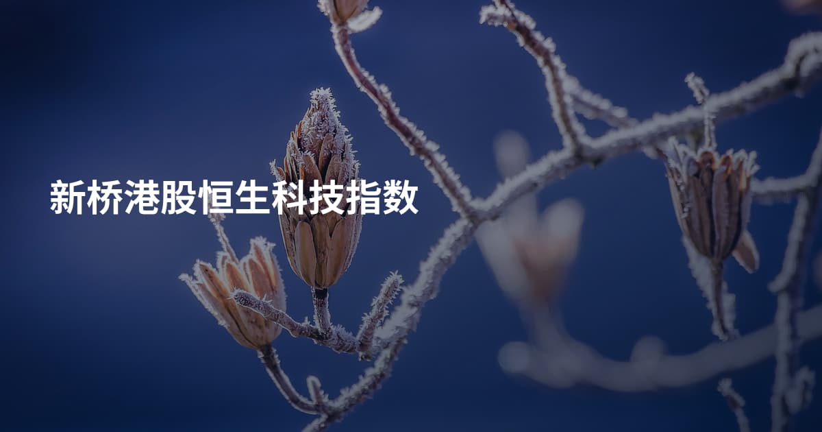 新桥港股恒生科技指数
