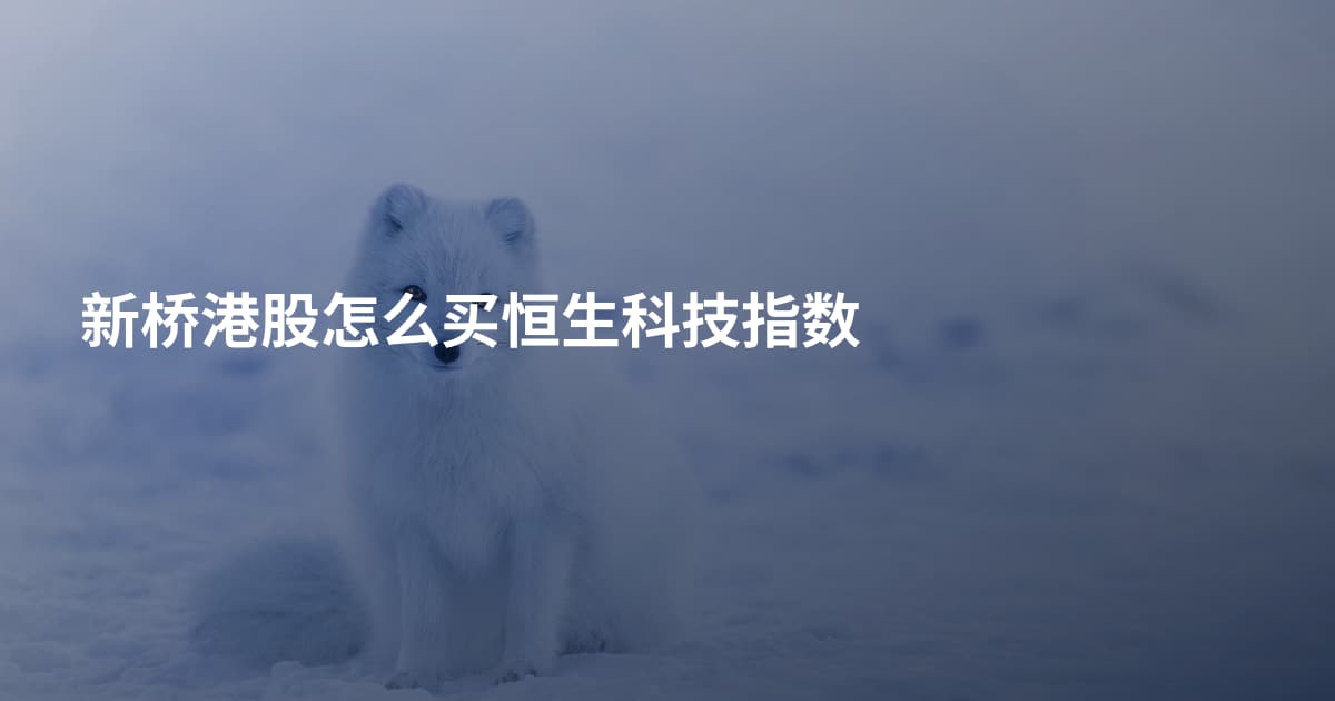 新桥港股怎么买恒生科技指数