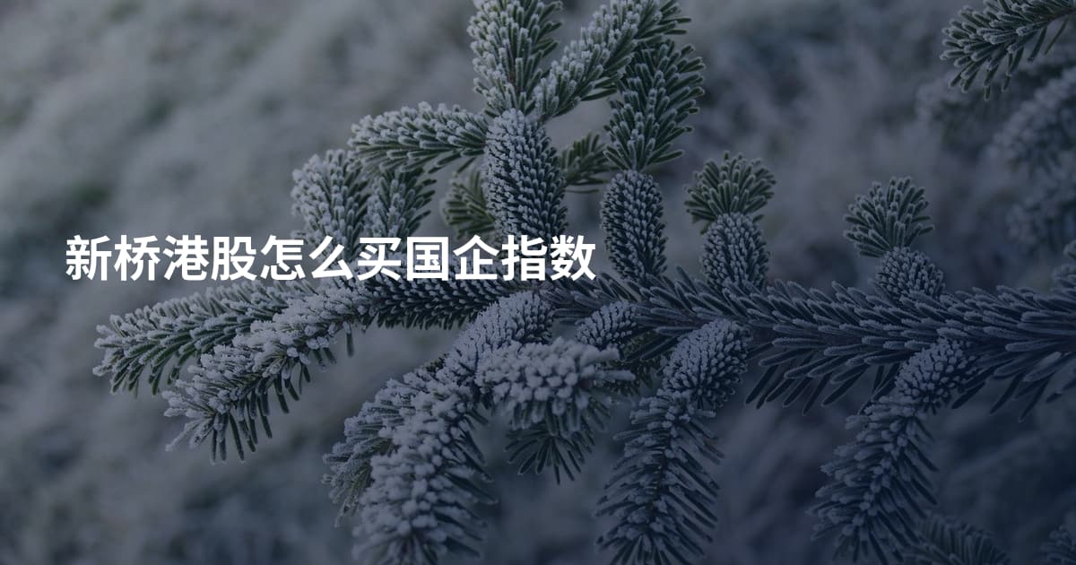 新桥港股怎么买国企指数