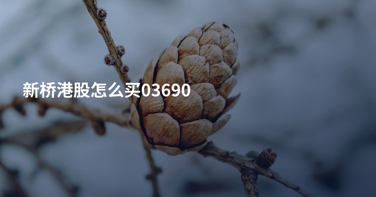 新桥港股怎么买03690