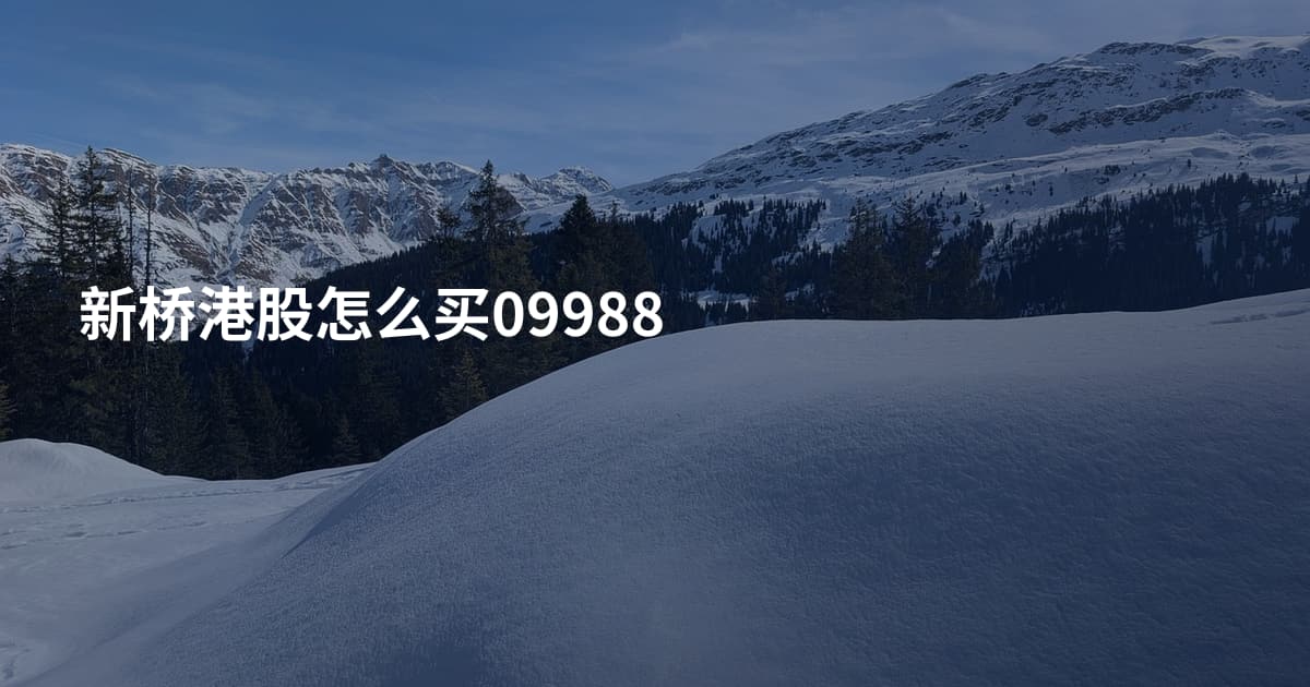 新桥港股怎么买09988