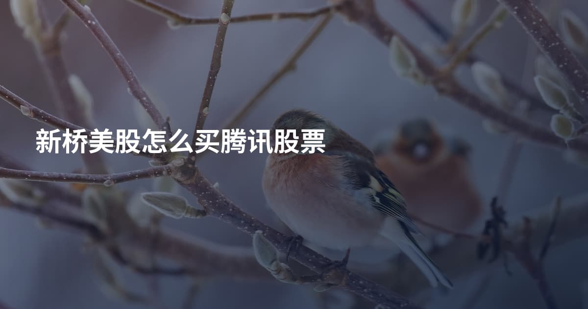 新桥美股怎么买腾讯股票