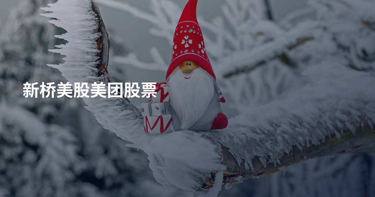新桥美股美团股票