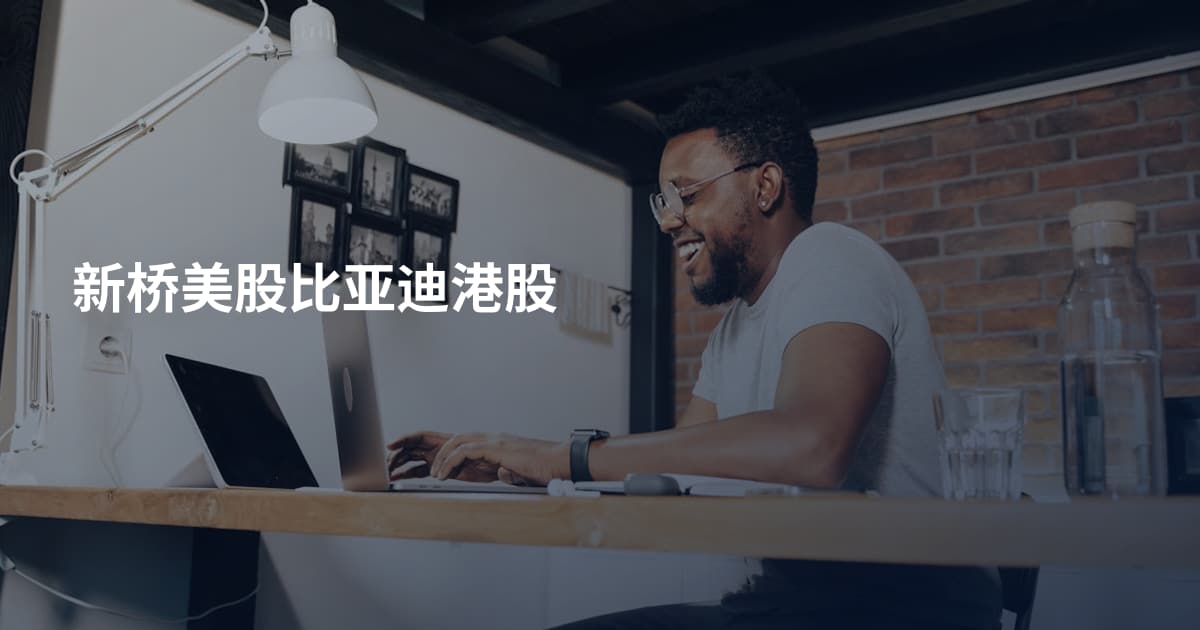 新桥美股比亚迪港股