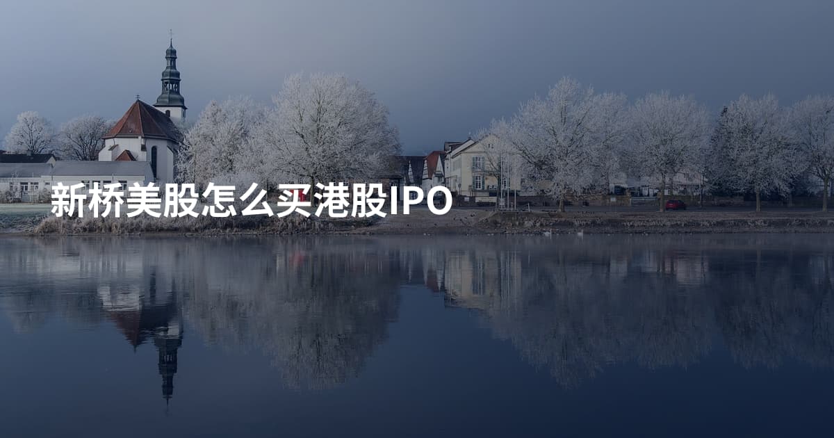 新桥美股怎么买港股IPO