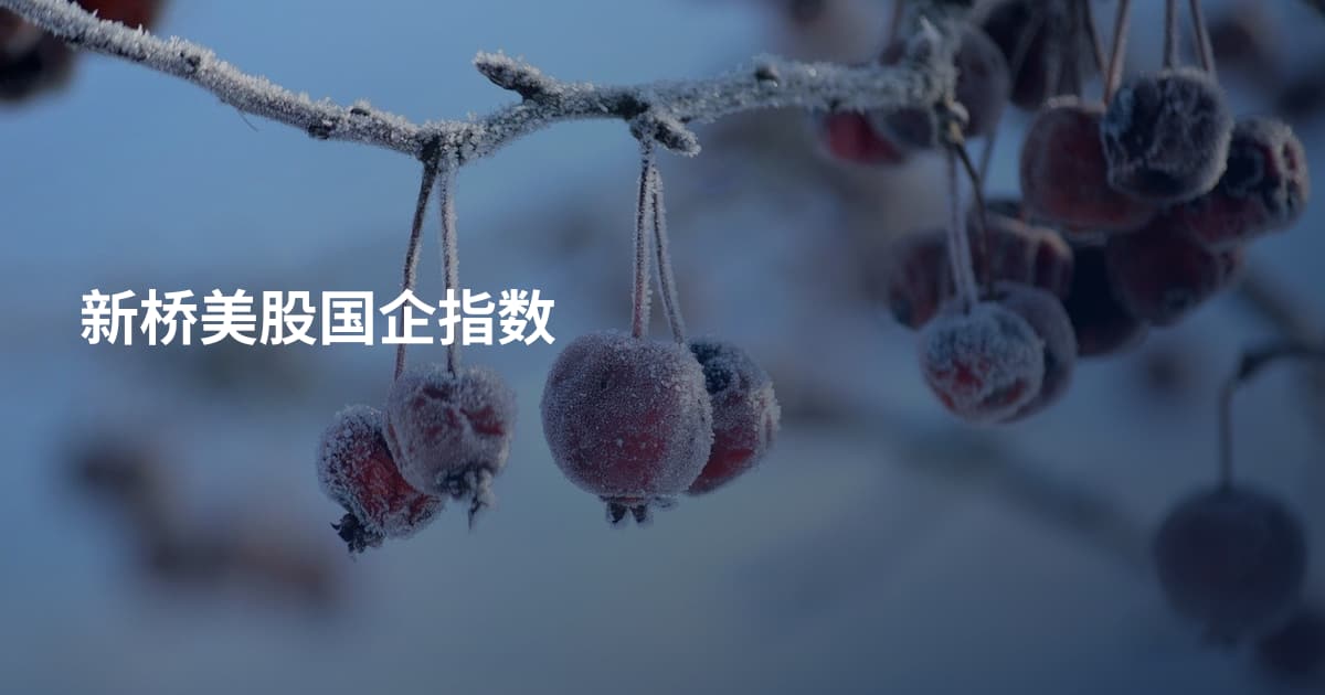 新桥美股国企指数