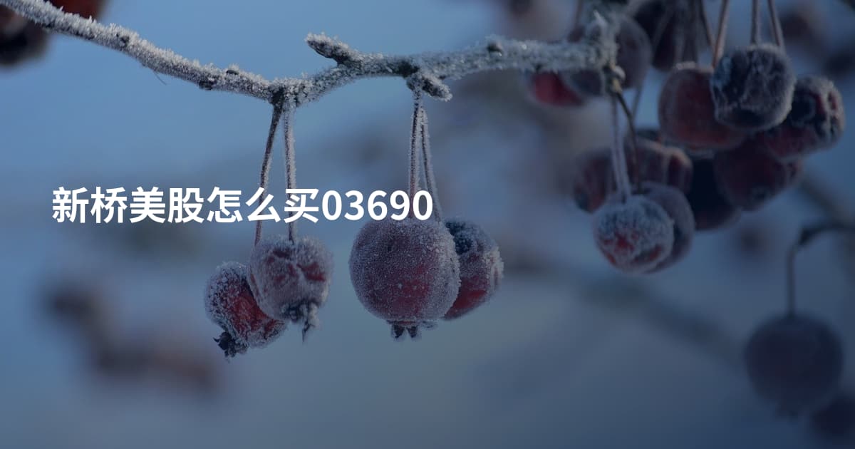新桥美股怎么买03690