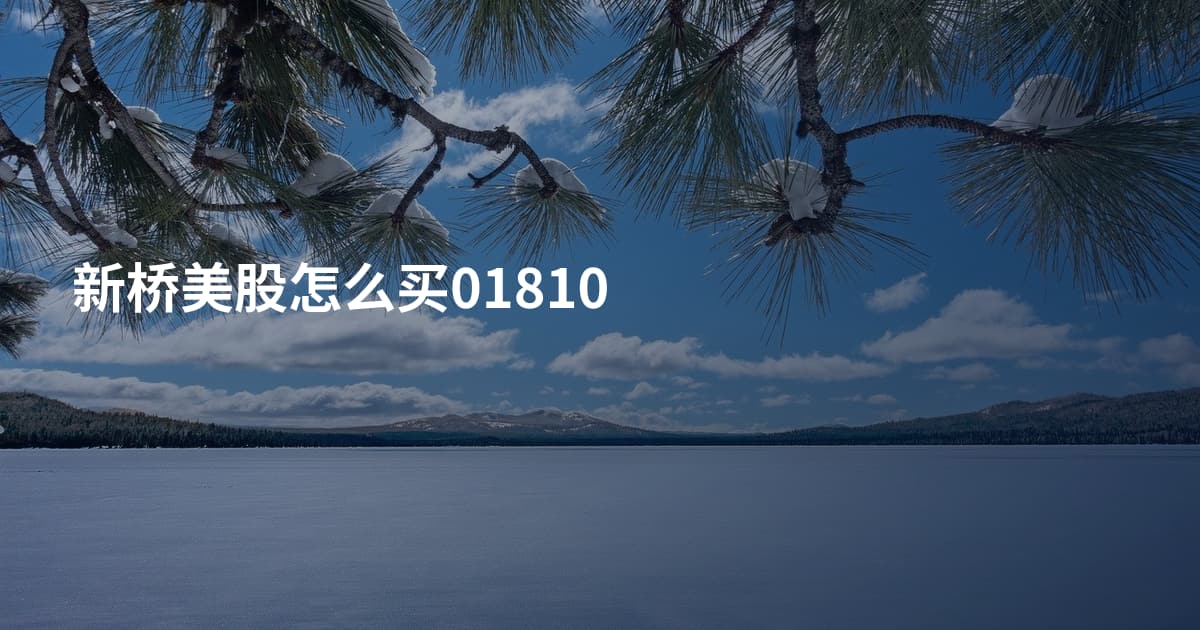 新桥美股怎么买01810