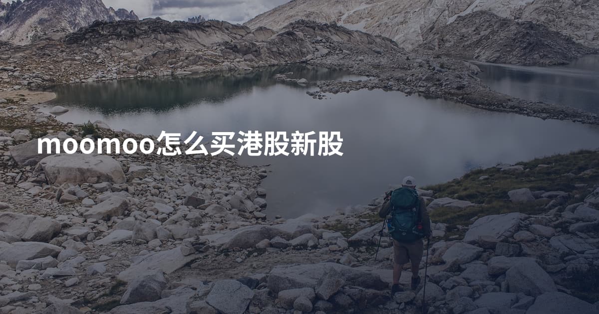 moomoo怎么买港股新股