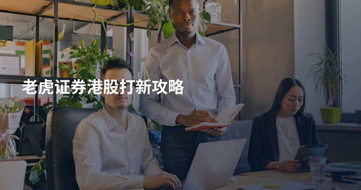 老虎证券港股打新攻略