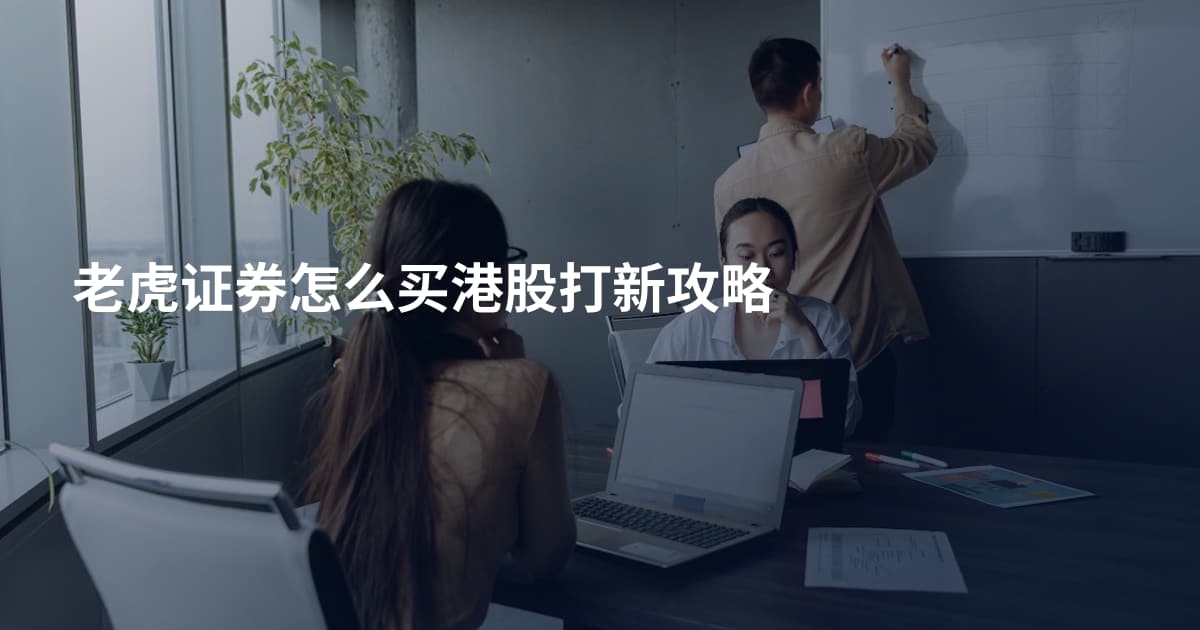 老虎证券怎么买港股打新攻略