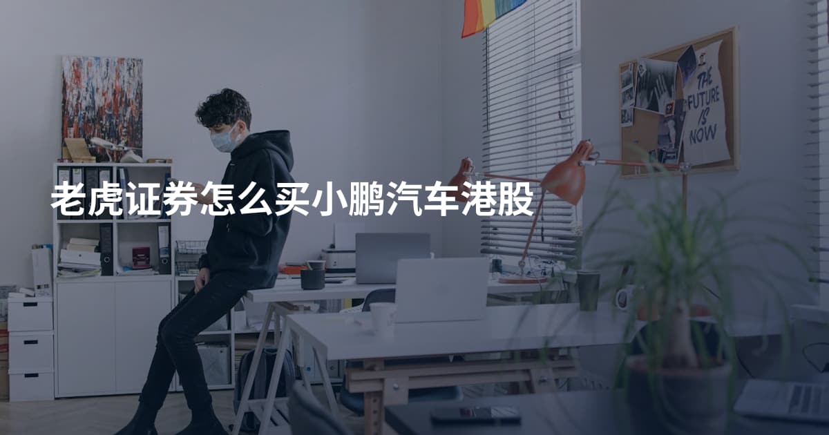 老虎证券怎么买小鹏汽车港股