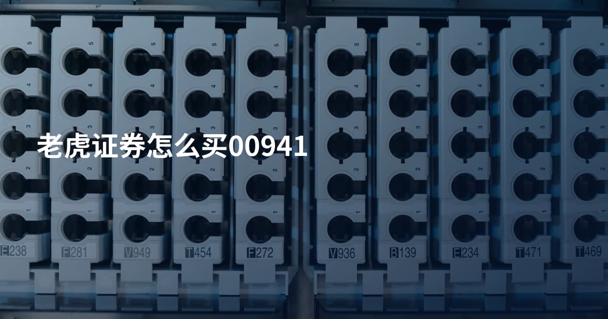 老虎证券怎么买00941