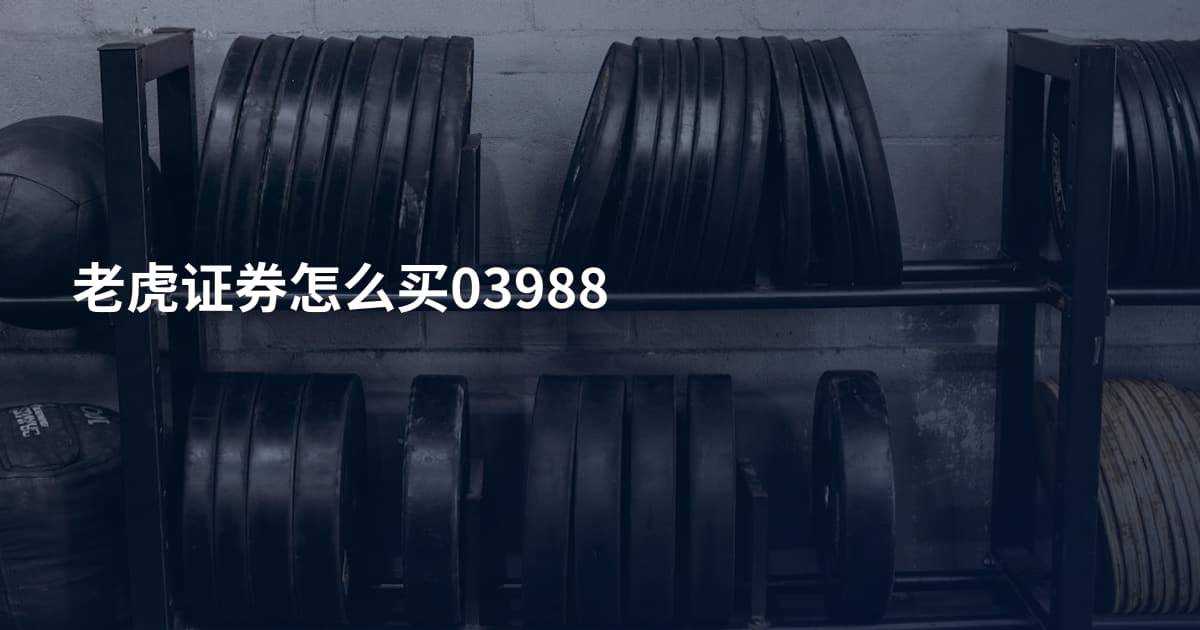 老虎证券怎么买03988
