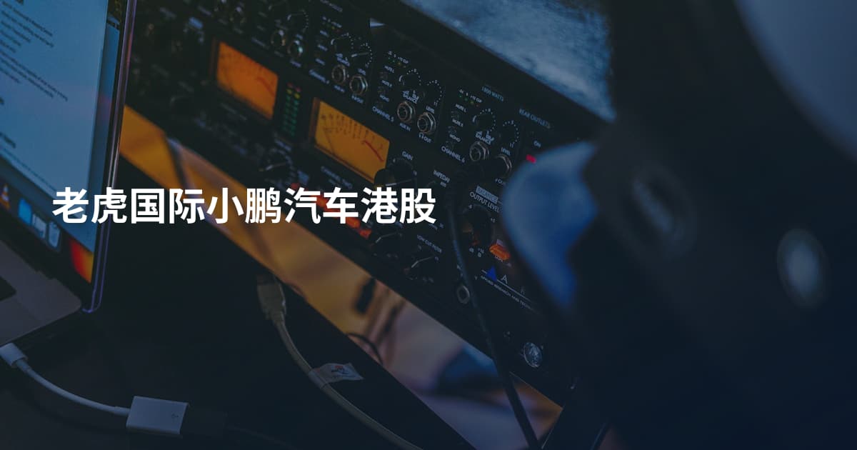 老虎国际小鹏汽车港股