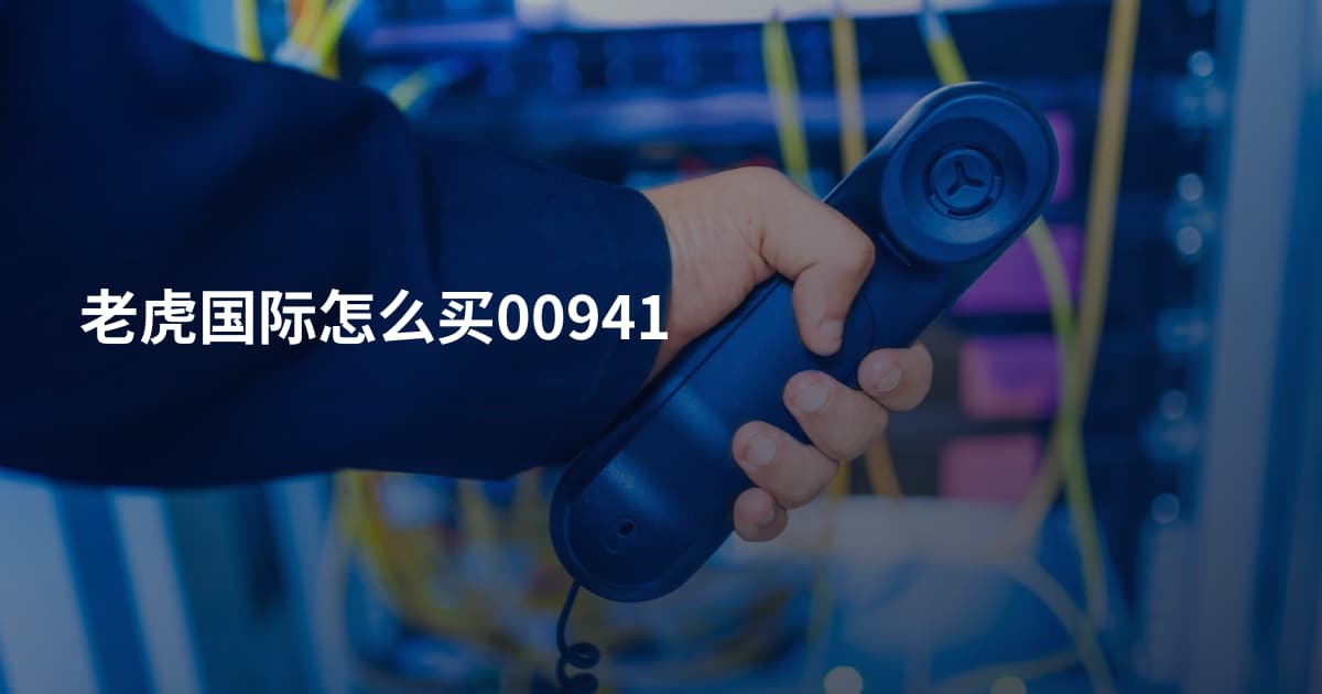 老虎国际怎么买00941