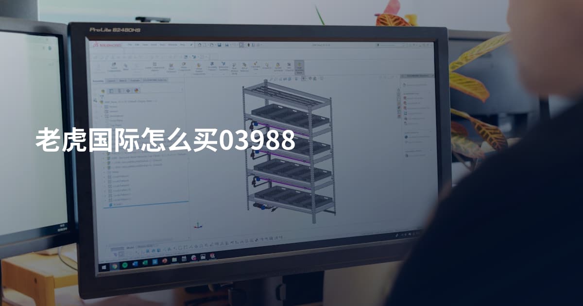 老虎国际怎么买03988