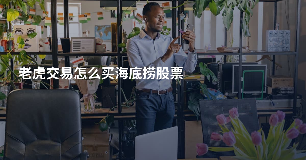 老虎交易怎么买海底捞股票