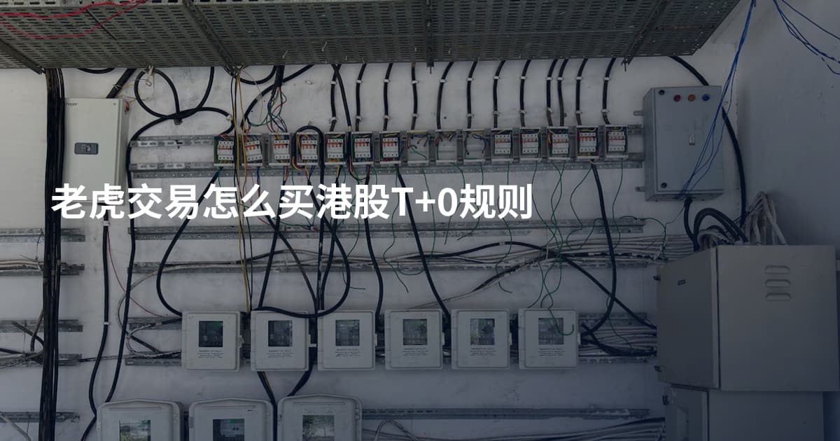 老虎交易怎么买港股T+0规则