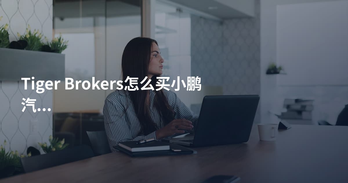Tiger Brokers怎么买小鹏汽车港股