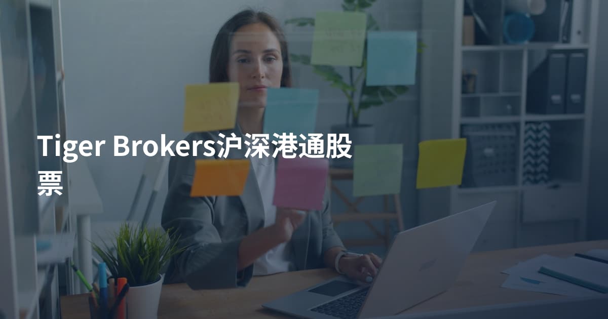 Tiger Brokers沪深港通股票