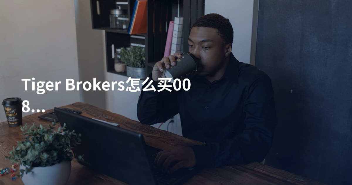 Tiger Brokers怎么买00883