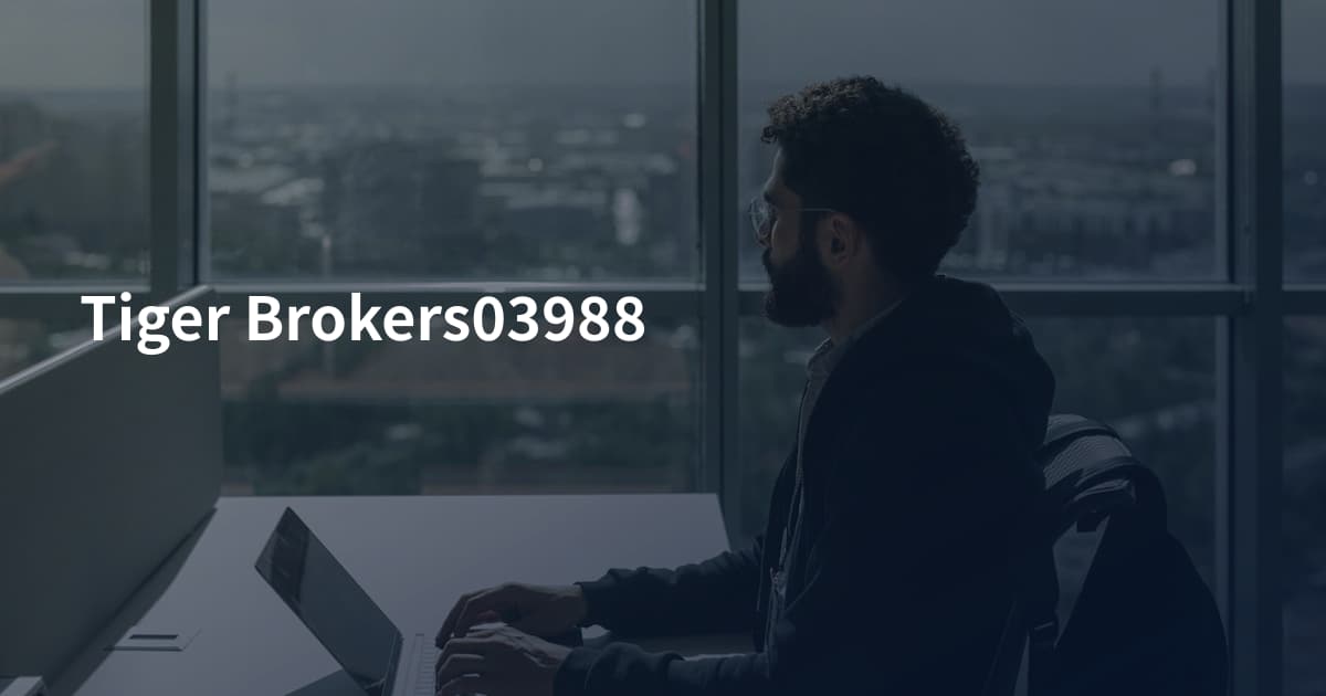 Tiger Brokers03988