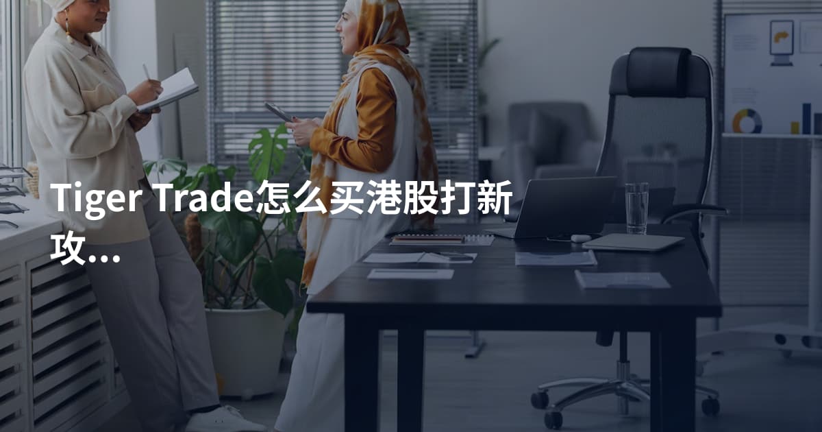 Tiger Trade怎么买港股打新攻略