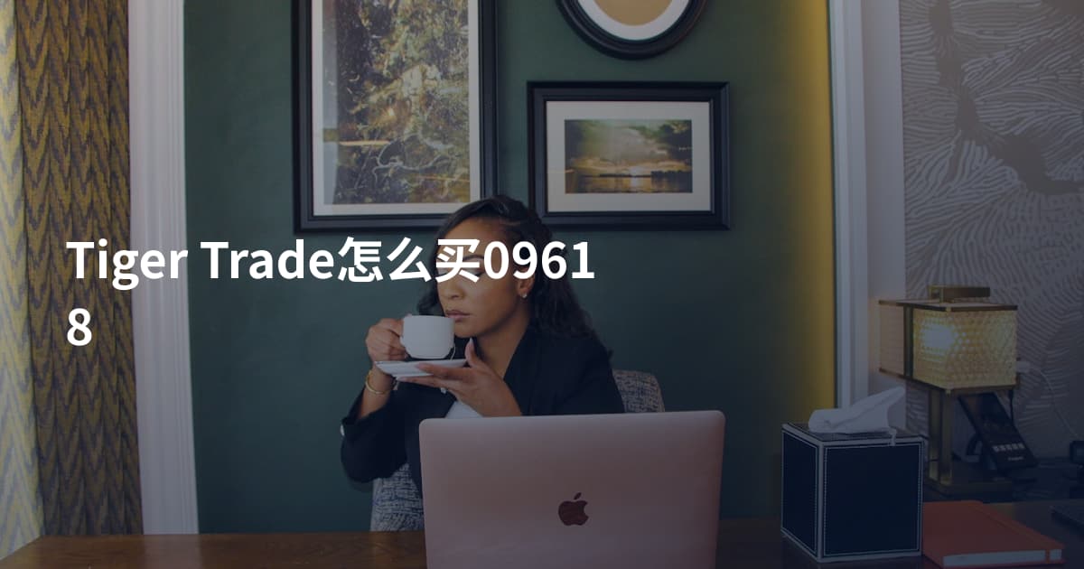 Tiger Trade怎么买09618