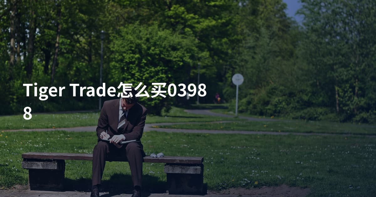 Tiger Trade怎么买03988