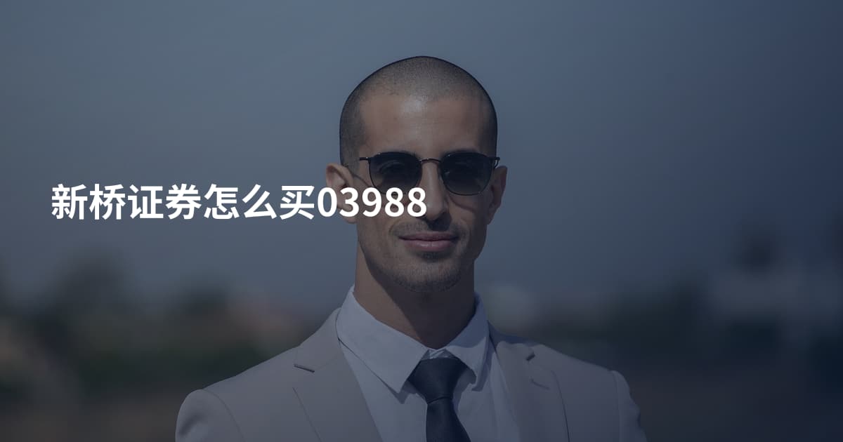 新桥证券怎么买03988