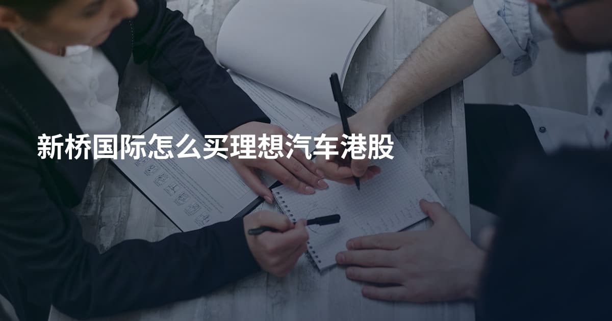 新桥国际怎么买理想汽车港股