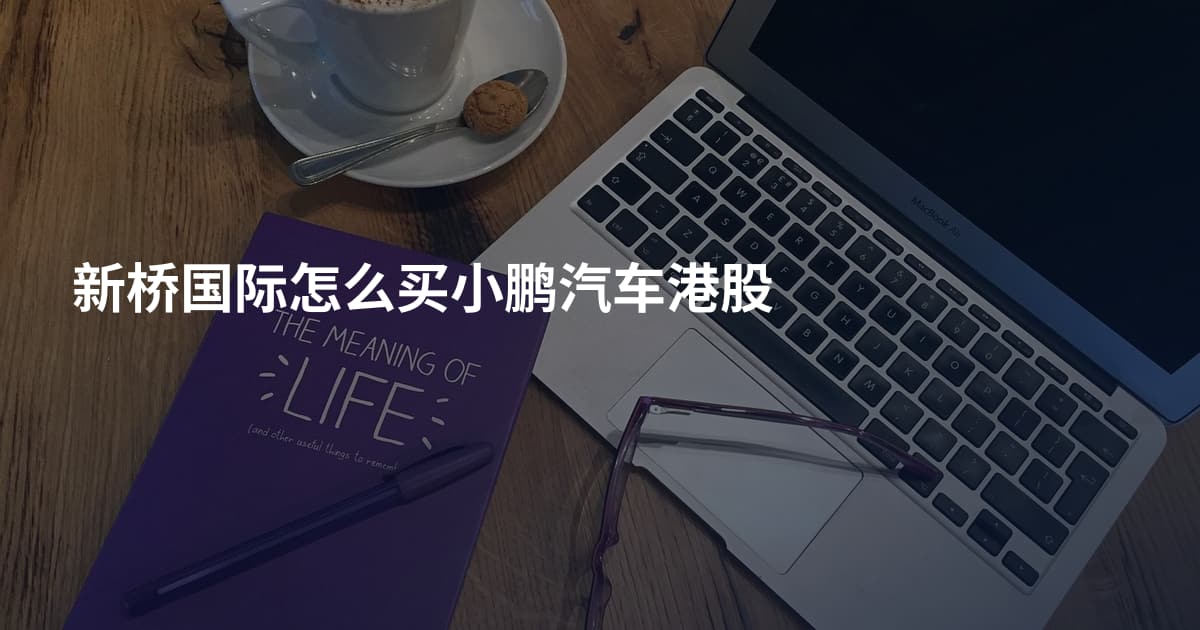 新桥国际怎么买小鹏汽车港股