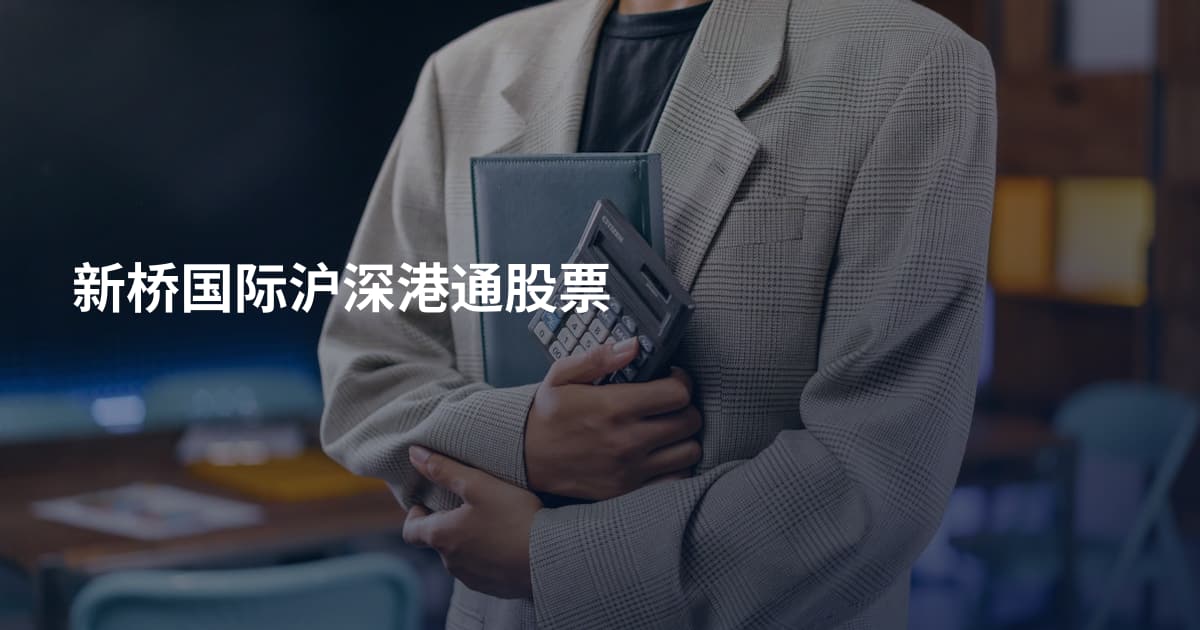 新桥国际沪深港通股票