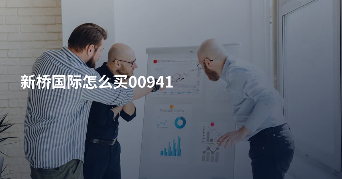 新桥国际怎么买00941