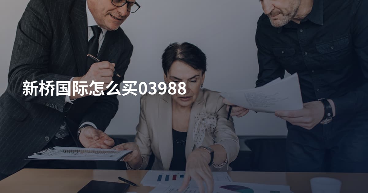 新桥国际怎么买03988