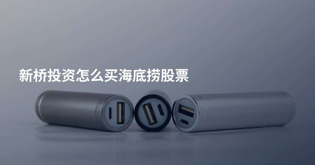 新桥投资怎么买海底捞股票