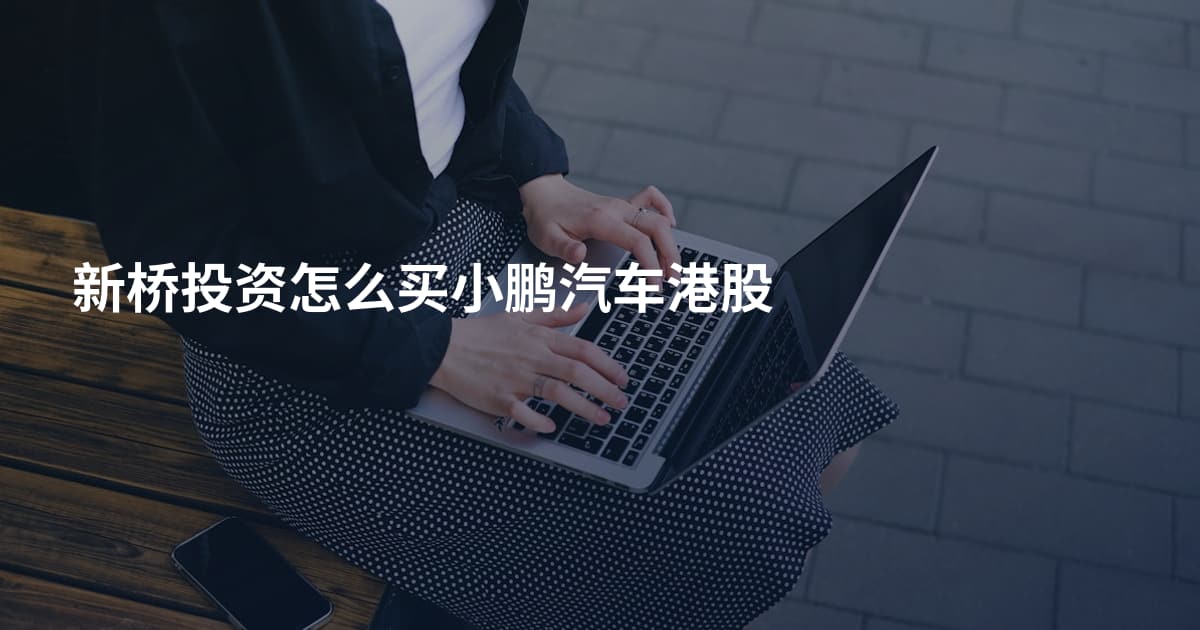 新桥投资怎么买小鹏汽车港股