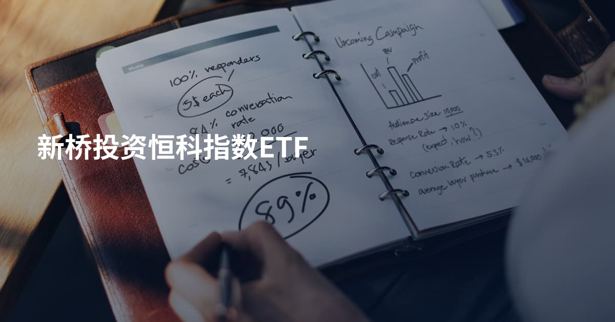 新桥投资恒科指数ETF