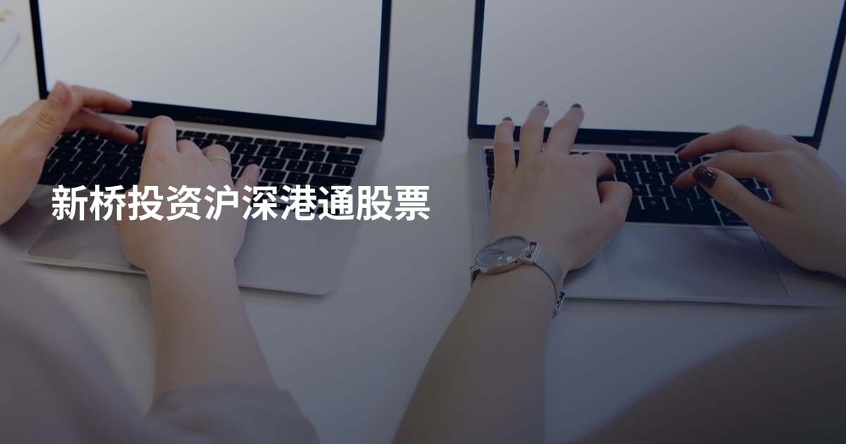 新桥投资沪深港通股票