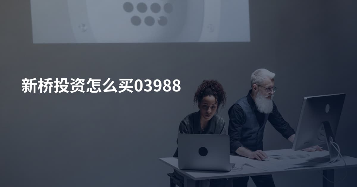 新桥投资怎么买03988